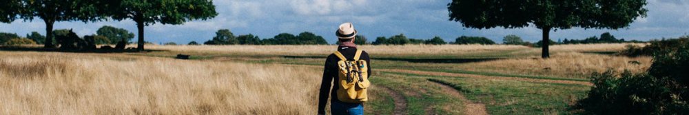 You Don’t Need 10,000 Steps a Day—New Study Reveals - Fittux
