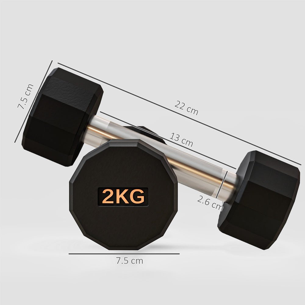 Anti - Roll 12 sided Dumbbell Set 2 x 2kg