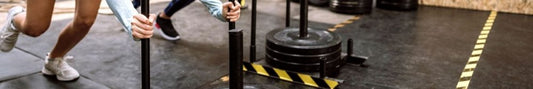 Best Weight Sleds for Home Gyms: Push, Pull & Conditioning Picks - Fittux