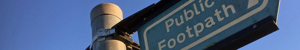 Can You Lose Weight Just Walking? - Fittux