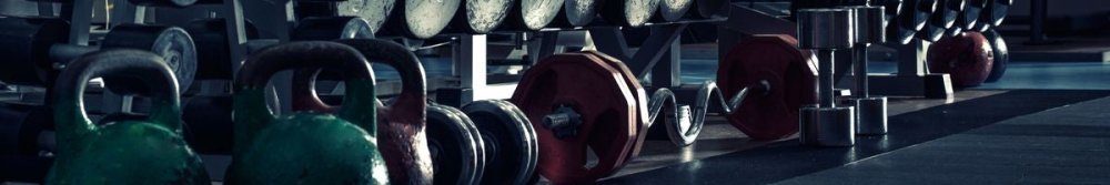 How Many Dips Can the Average Person Do? Strength Standards Calculator - Fittux