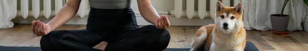 Is a Home Gym Really Worth It? - Fittux