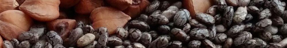 Is It OK to Put Chia Seeds in a Protein Shake? What They Actually Do - Fittux