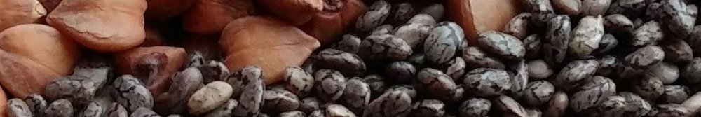 Is It OK to Put Chia Seeds in a Protein Shake? What They Actually Do - Fittux