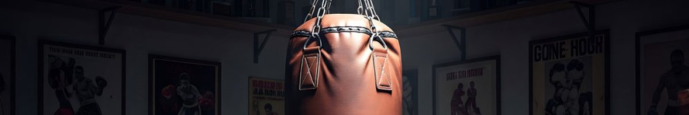 Is It Worth Getting a Punching Bag? - Fittux