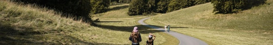 National Trust Walks Near Me | Finder, Map & UK Walking Routes - Fittux