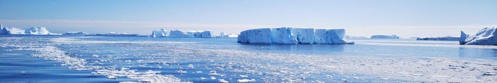 What Does Krill Oil Do for Your Body? - Fittux