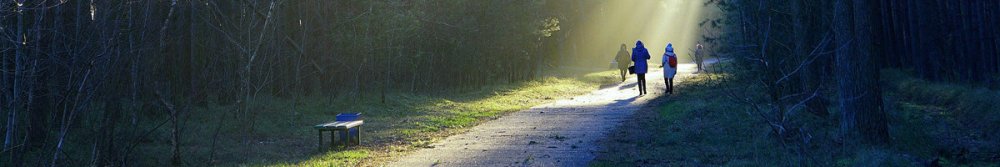 What Is a Detox? - Fittux