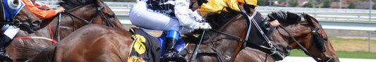 Which Day Is the Best Day to Go to Royal Ascot? - Fittux