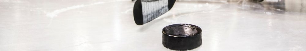 Why Can You Fight in Ice Hockey? - Fittux