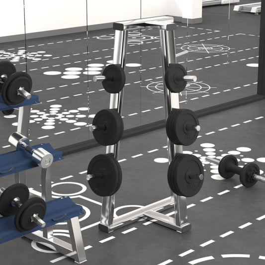 6 - Piece Cast Iron Weight Plates (total 30kg)