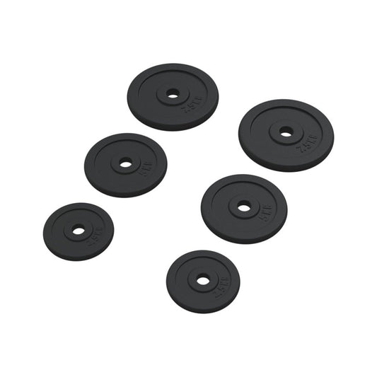 6 - Piece Cast Iron Weight Plates (total 30kg)