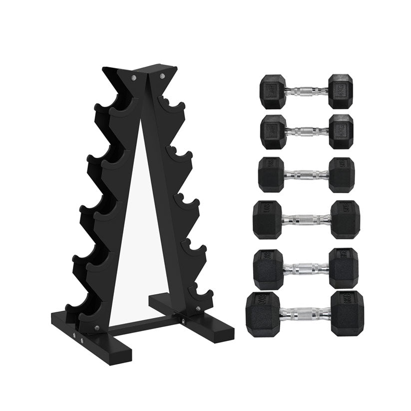 Hex Dumbbell Set with Storage Rack – Rubber - Coated Weights (4 kg, 6 kg, 8 kg Pairs)