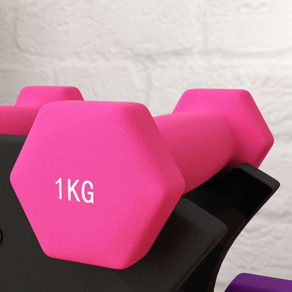 The Precision Set – 1kg to 3kg Dumbbells & Rack